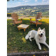 Mini table basse de jardin Adirondack Muskoka