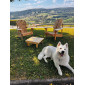 Mini table basse de jardin Adirondack Muskoka